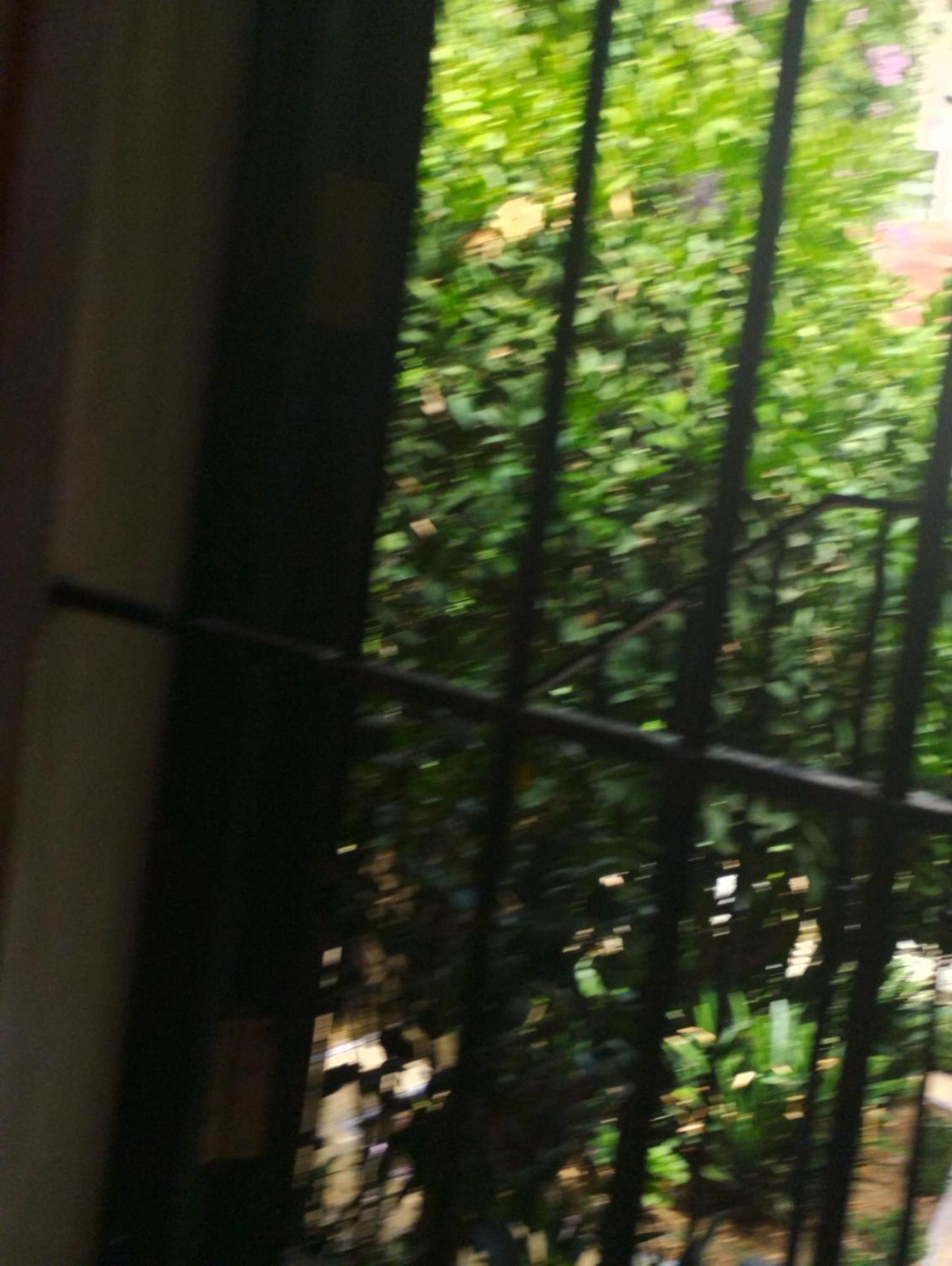 세비야 La Casa De Pepa 아파트 외부 사진
